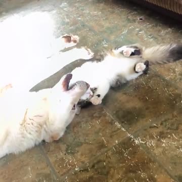 You Got A Friend In Me