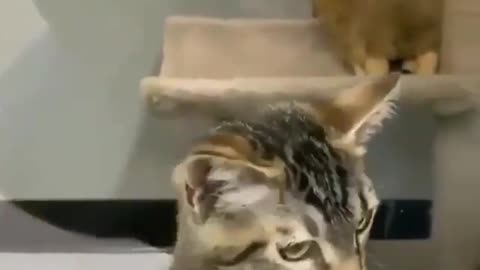 🤣🤣