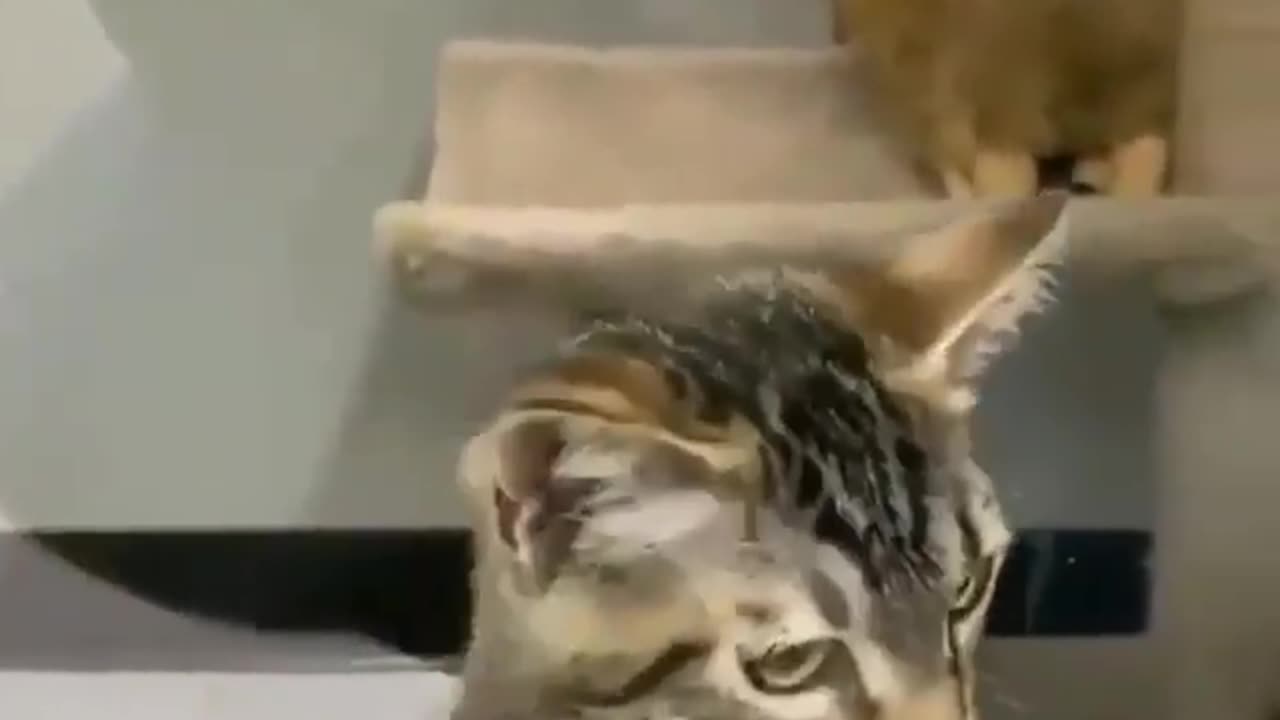 🤣🤣