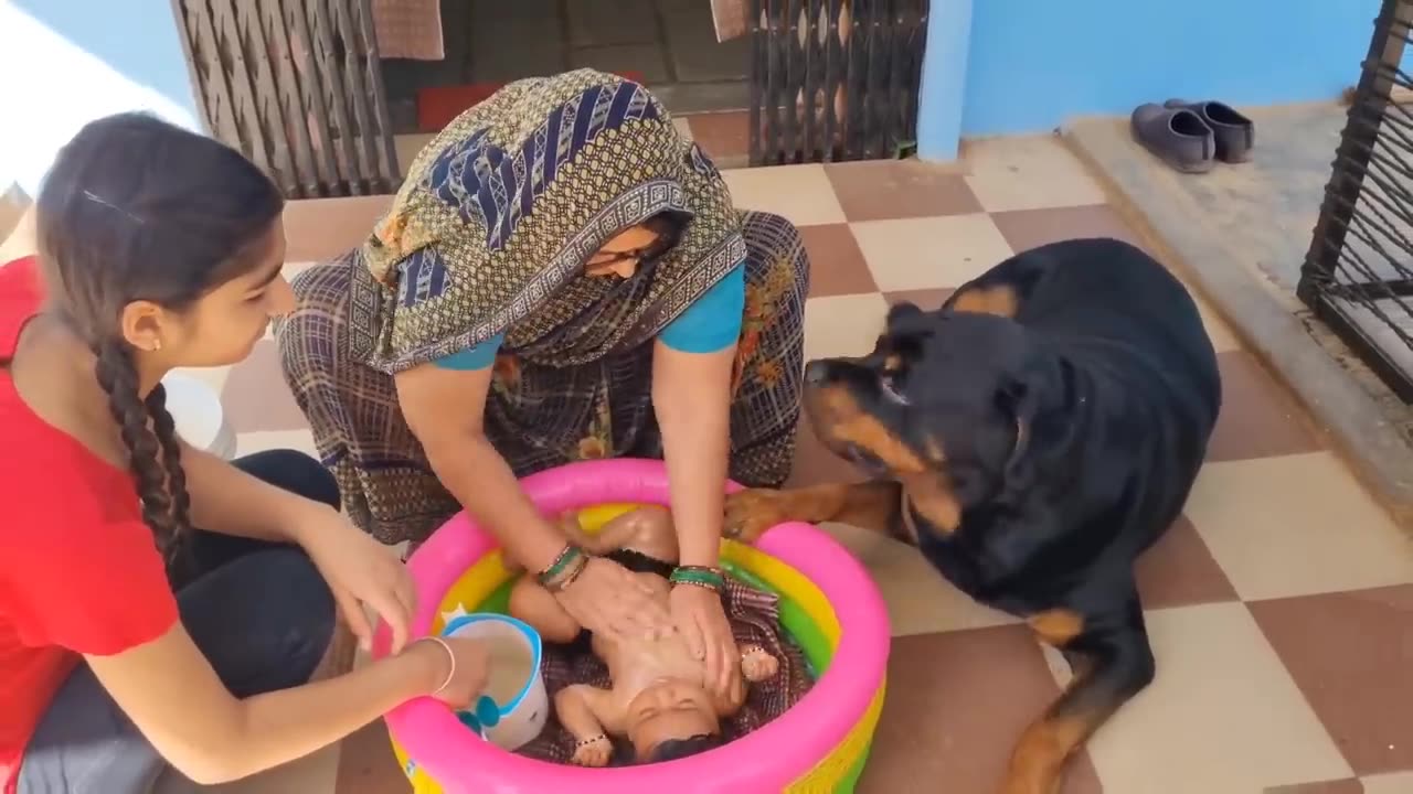 Cut baby playing with dog ### funny 😂🤣 enjoy girl