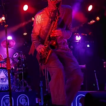 Dr. Yo (Here Come The Mummies) - LIVE @ Avondale (Short)