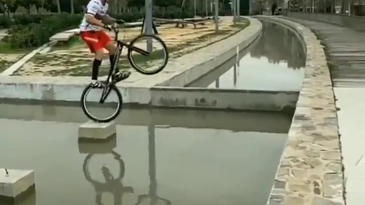 very professional
