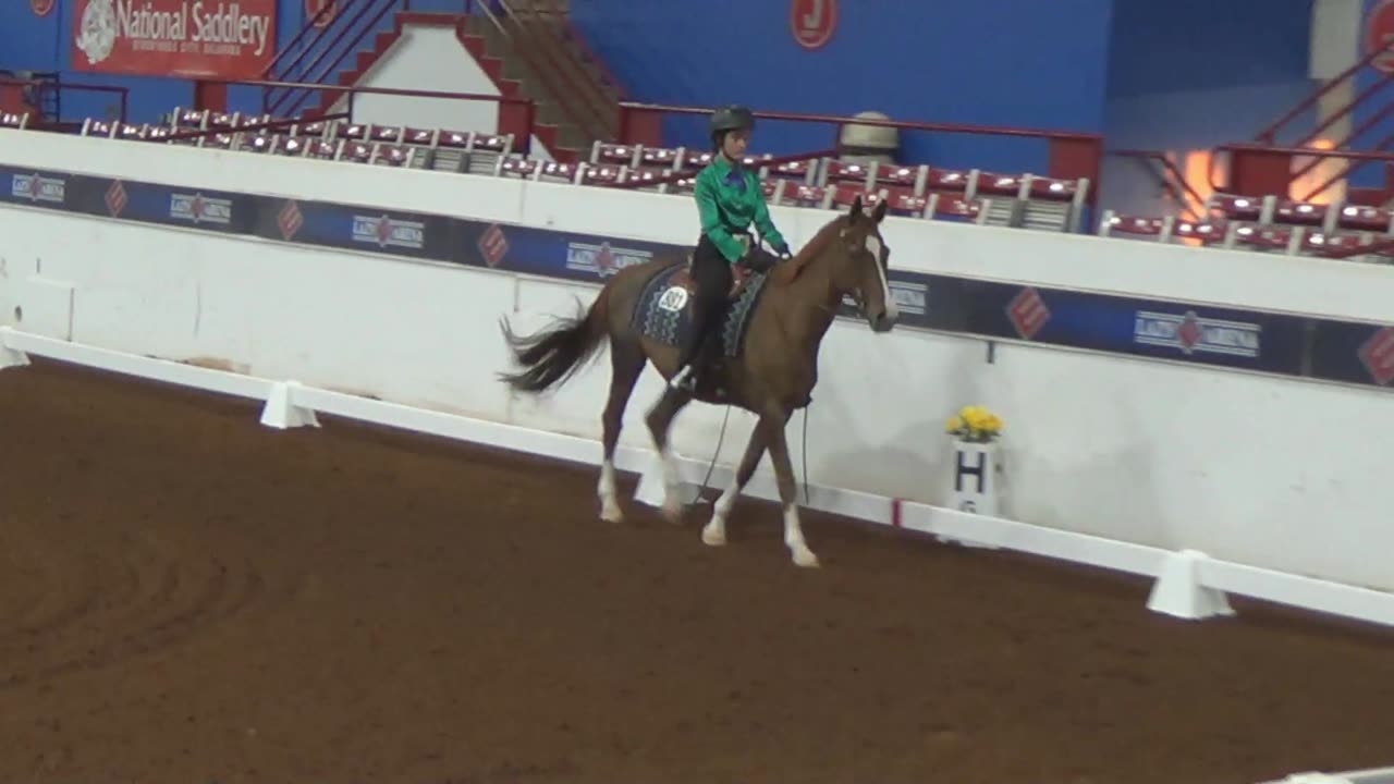 WDAA Western Dressage World Championship Show | Day 3