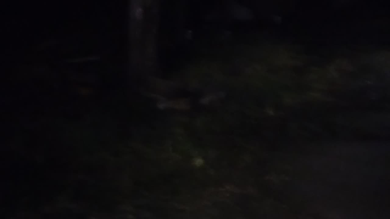 I don't know , who is there