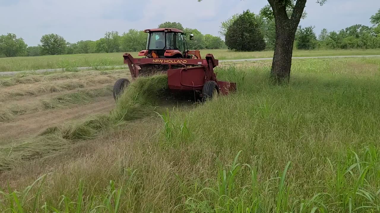 2023 First cutting with resurrected NH 411 Diskbine