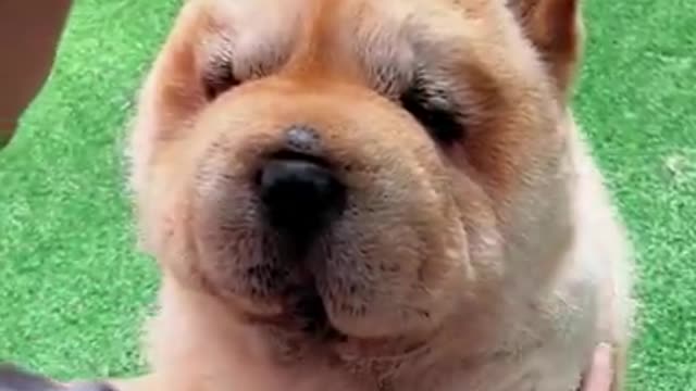 Creative painting ideas for you to try