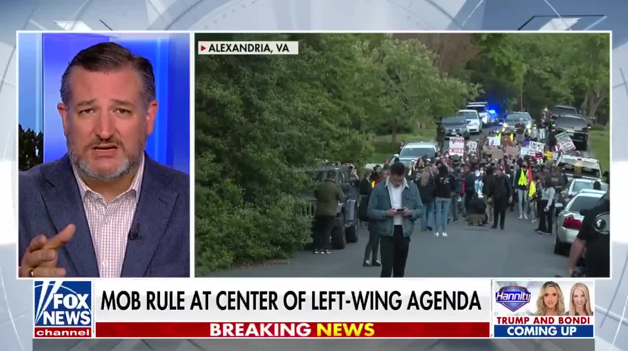 MOB RULE IS THE LEFT WING AGENDA