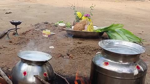 Pongalo Pongal