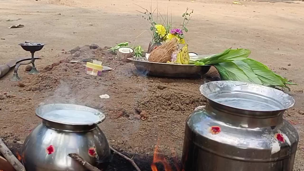 Pongalo Pongal