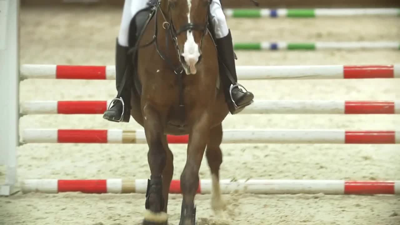 Rider on black horse galloping at show jumping competition