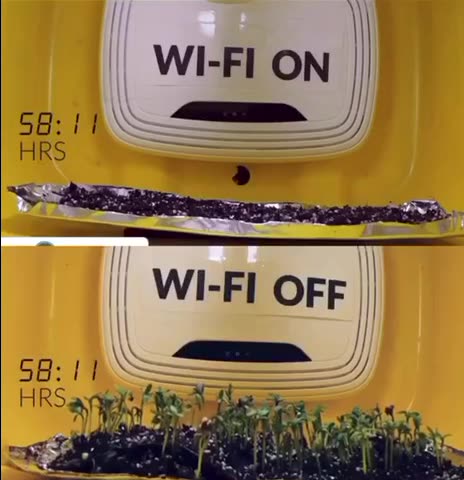 EFFETTI DEI CAMPI ELETTROMAGNETICI - ONDE RADIO WIFI