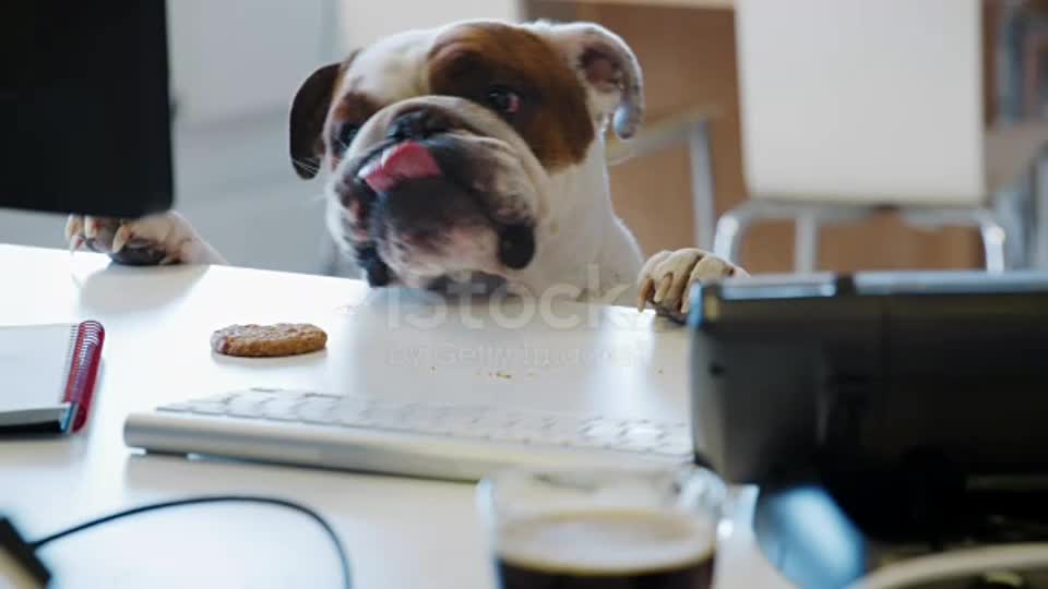 The challenge of eating sweets at a table