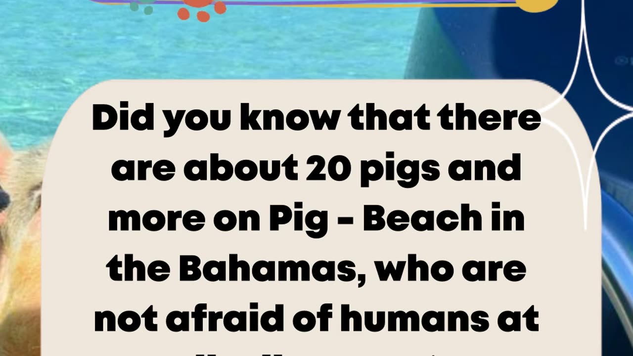 INTERESTING FACTS PART 20 #shorts