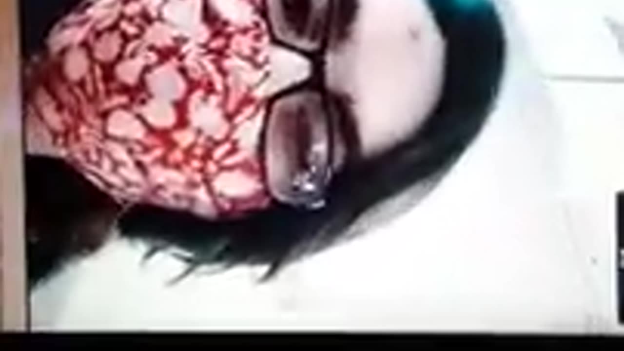 [Cyraxx Youtube 2021-10-27] proof my gf is a female