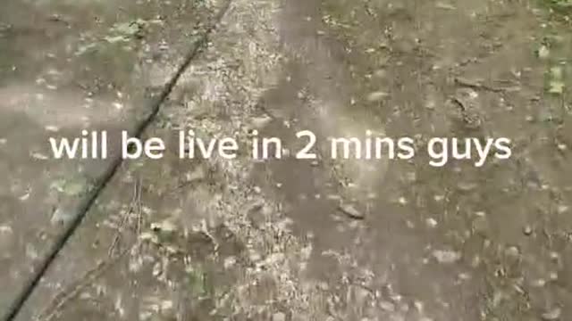 quick trout session guys jump in and lets crank some fish