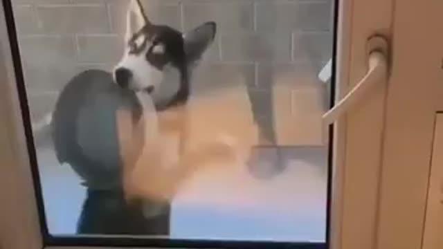 QUIERES ABRIR LA PUERTA O TIENES HAMBRE