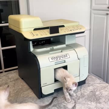 Cat Magic copy machine...