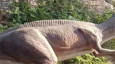 Dino Valley Islamabad