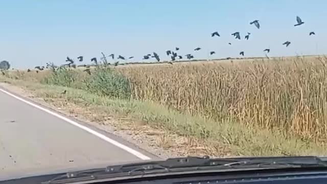 Just a video, nothing interesting.