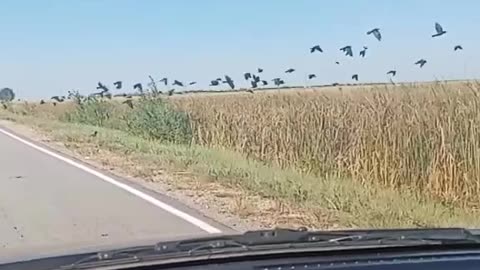 Just a video, nothing interesting.