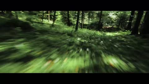 DJI RS 3 - The Art of Movement