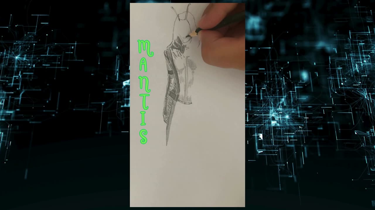 Mantis timelapse drawing