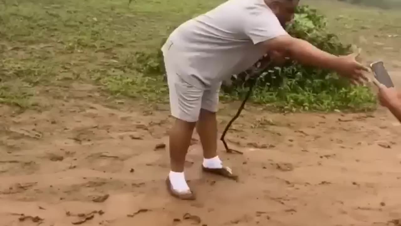 Funny videos