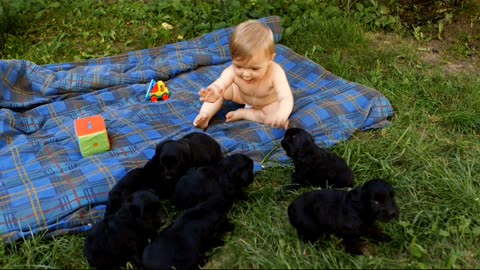 Baby Playing with puppies