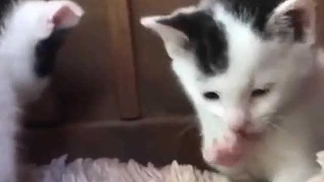 When you have no idea how to do it, but you try your best