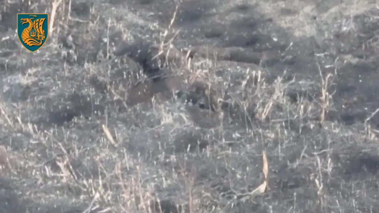 Ukrainians Clear Russian Trenches