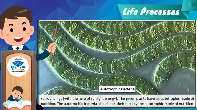 Life Processes Class 10 Science Biology CBSE NCERT, Mode of nutrition, PART - 1st Life Processes