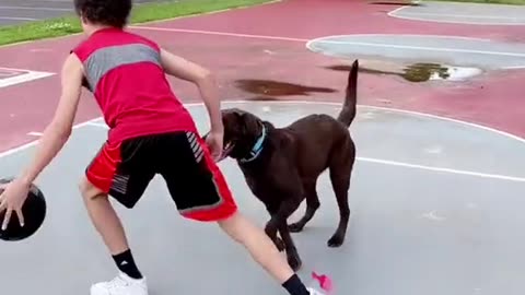 Dog with elite defense 😧 😂 (via @Taylor Bottoms) #dog #pet #basketball #hoops