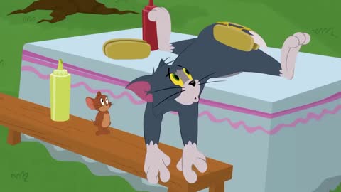 Tom & Jerry Show I Eğlence I Cartoon Network Türkiye