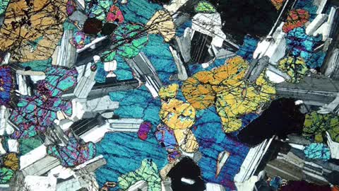 Things under a microscope 🔬😯