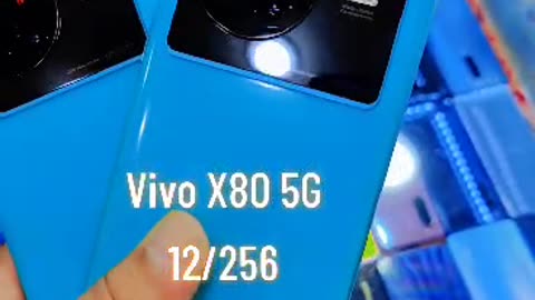 Vivo x80