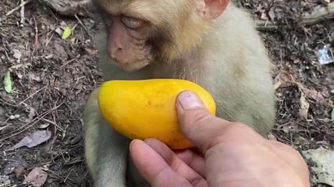 Animal 🙈🧐 funny