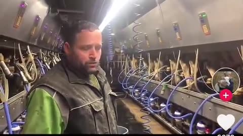 Canadian Dairy Farmer reaches quota, Canada makes him dump the rest because of regulations