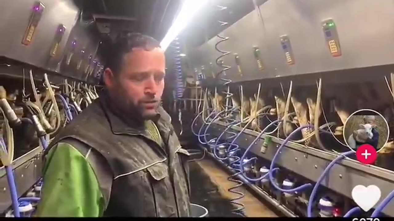 Canadian Dairy Farmer reaches quota, Canada makes him dump the rest because of regulations