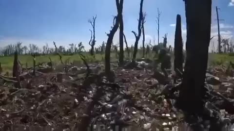 Assault brigade of Ukraine on a mission.