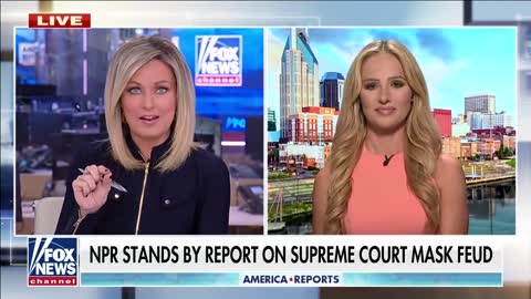 Tomi Lahren: This is why the media is 'sowing division' in America