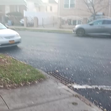 Sunset neighbors dog