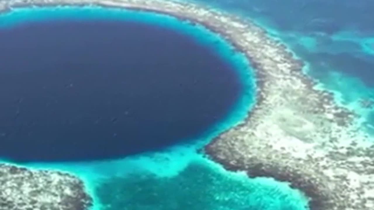 Discover the Mystery of the Great Blue Hole Dive into a Shark Paradise