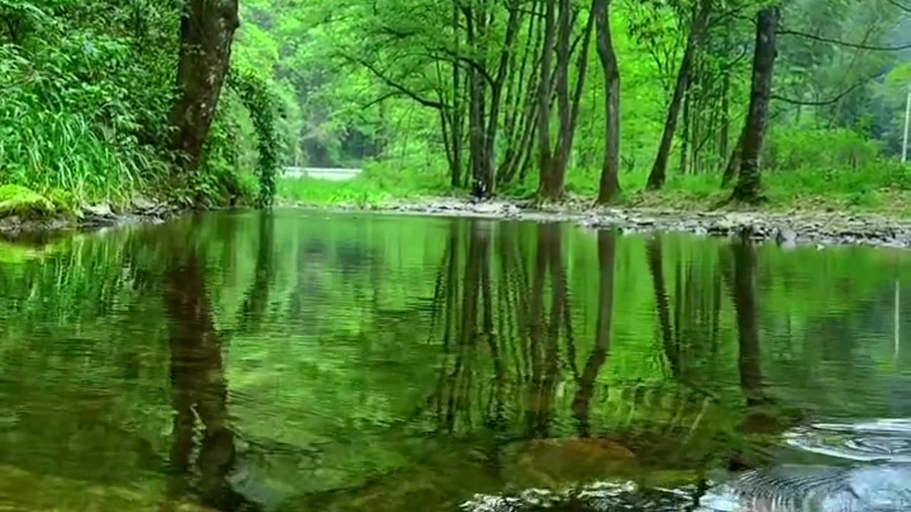 Nature