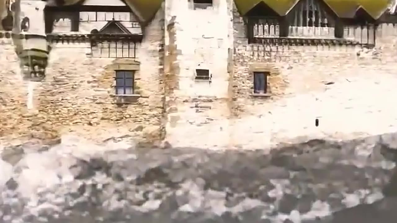 Tranding video Loop