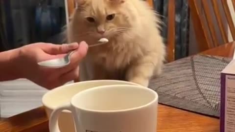 Awesome fails part 82.