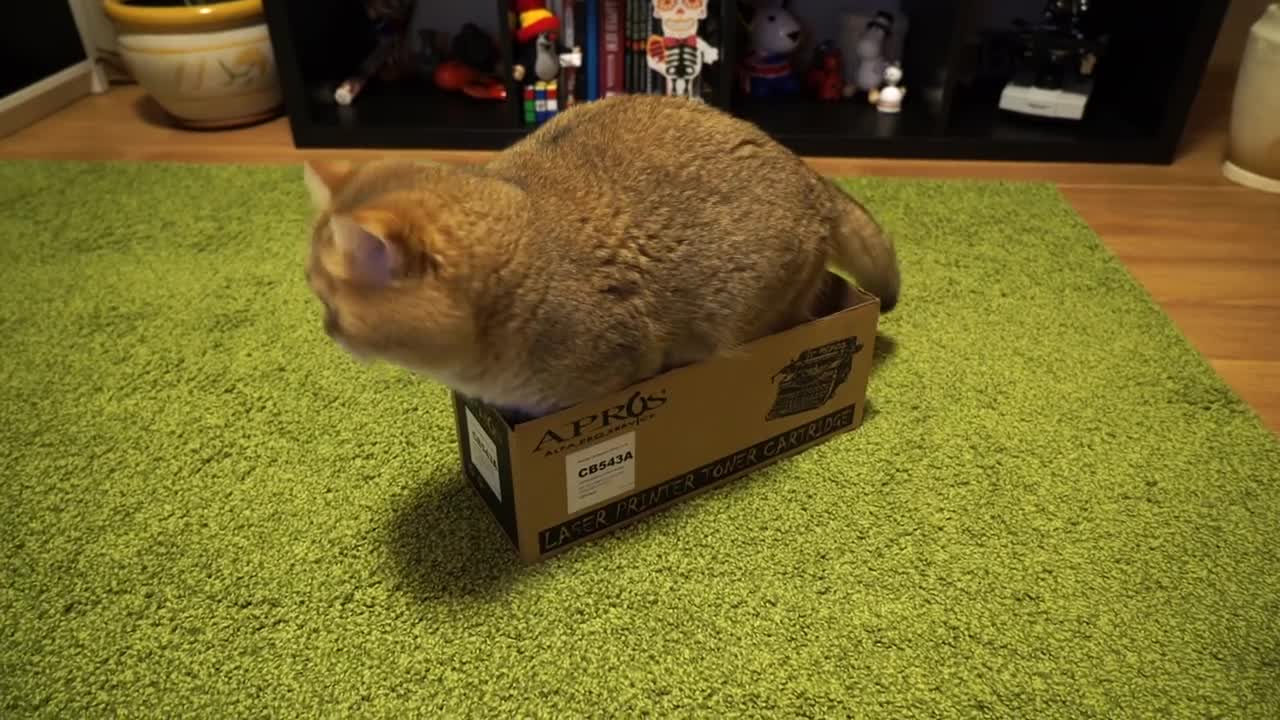 New box Hosico!