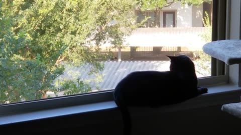 20240806 090152 Tux Birdwatching