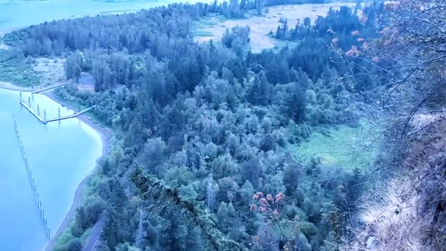 Beacon Rock Hike