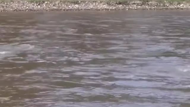 Wait till the end
