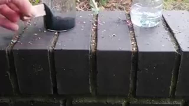 There must be something in the water..